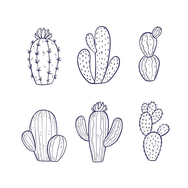 Ilustración de contorno de cactus dibujado a mano