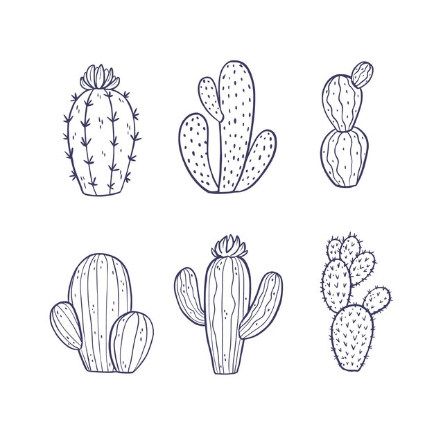 Ilustración de contorno de cactus dibujado a mano