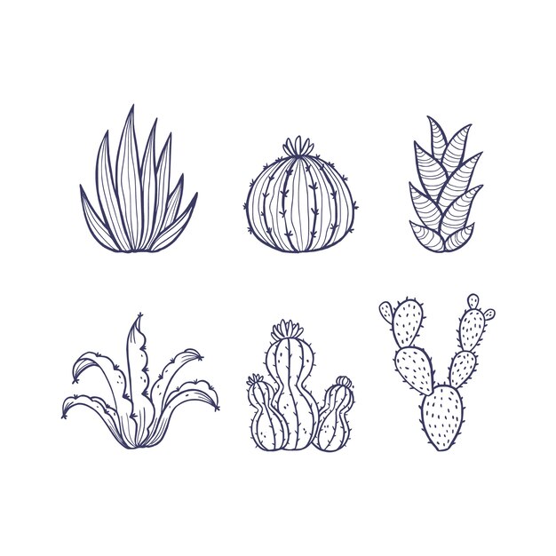 Ilustración de contorno de cactus dibujado a mano