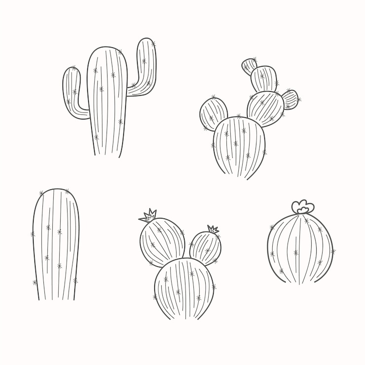 Vector gratuito ilustración de contorno de cactus dibujado a mano