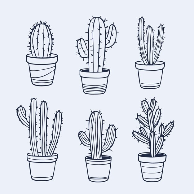Ilustración de contorno de cactus dibujado a mano