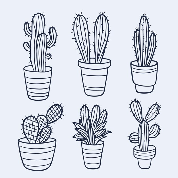 Ilustración de contorno de cactus dibujado a mano