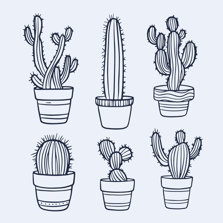 Vector gratuito ilustración de contorno de cactus dibujado a mano