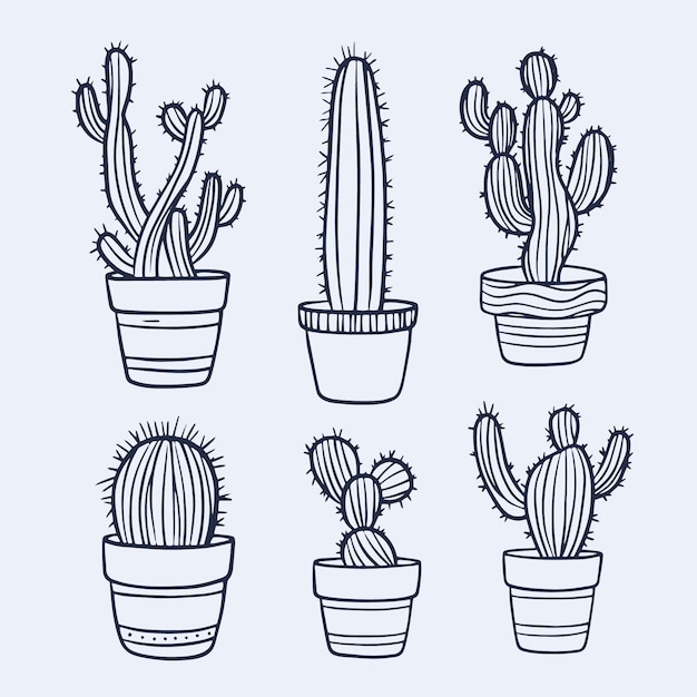 Ilustración de contorno de cactus dibujado a mano