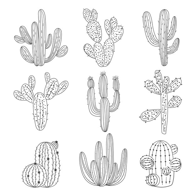 Ilustración de contorno de cactus dibujado a mano