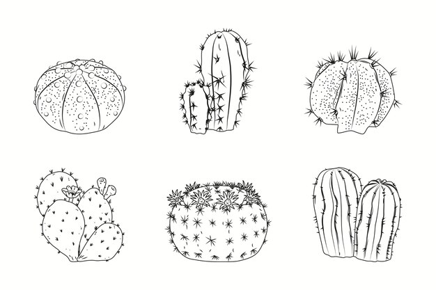 Ilustración de contorno de cactus dibujado a mano