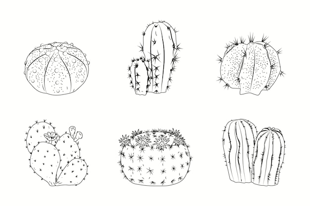 Ilustración de contorno de cactus dibujado a mano