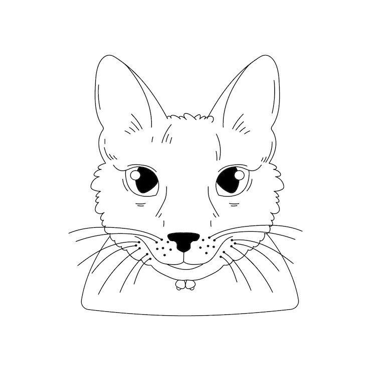 Vector gratuito ilustración de contorno de cara de gato dibujado a mano