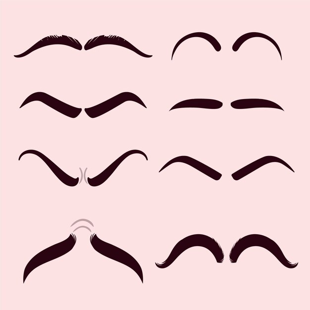Ilustración del contorno de las cejas dibujadas a mano