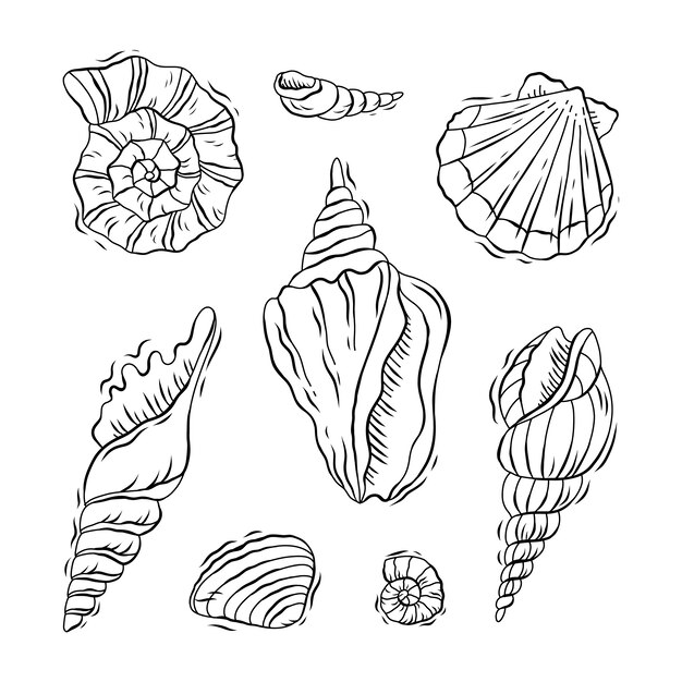 Ilustración de contorno de concha de diseño plano