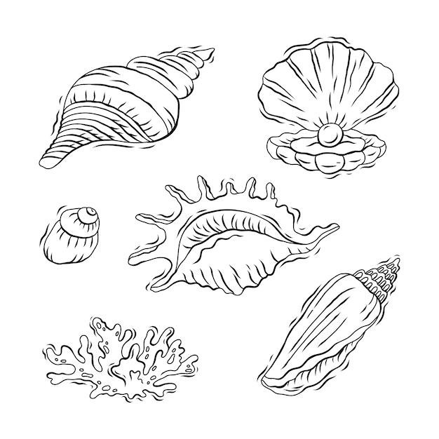 Ilustración de contorno de concha de diseño plano