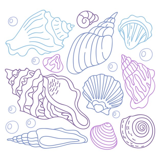 Ilustración de contorno de concha marina dibujada a mano