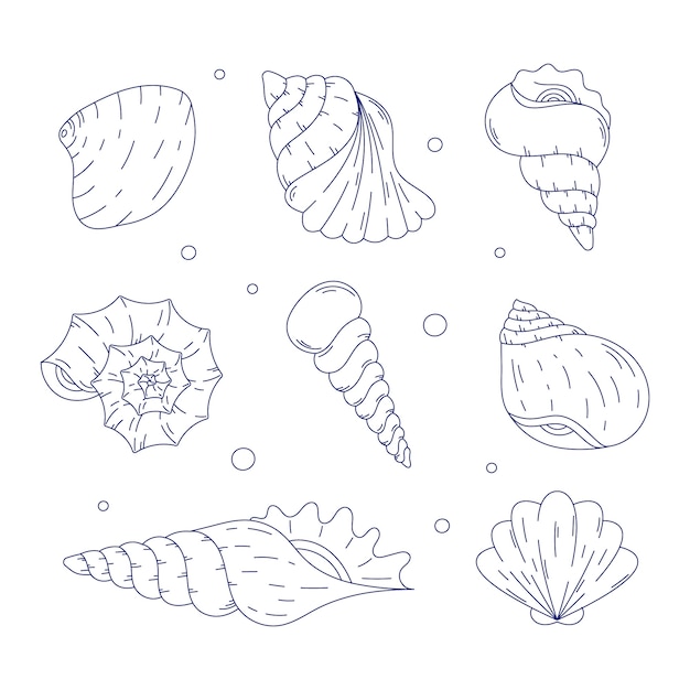 Vector gratuito ilustración de contorno de concha marina dibujada a mano