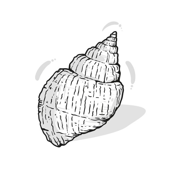 Ilustración de contorno de concha marina dibujada a mano