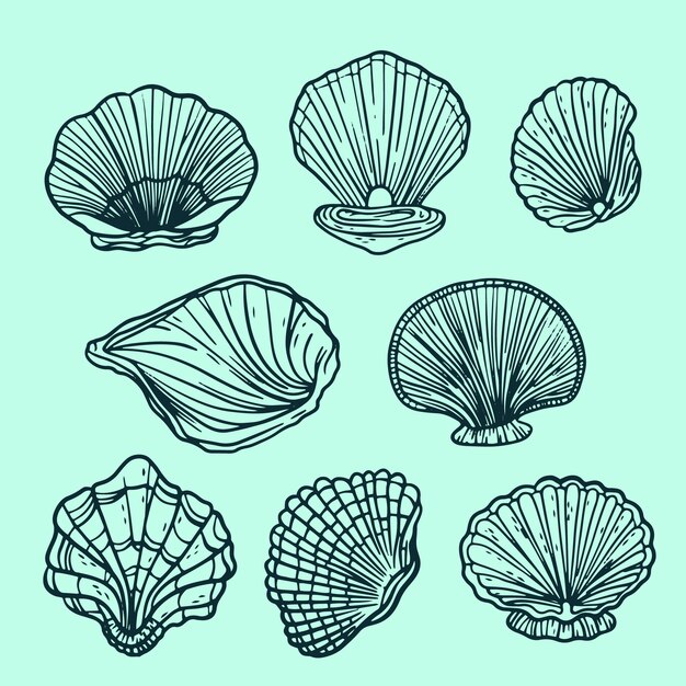 Ilustración de contorno de concha marina dibujada a mano