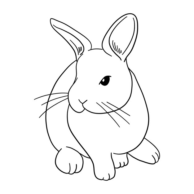 Ilustración del contorno del conejo dibujado a mano
