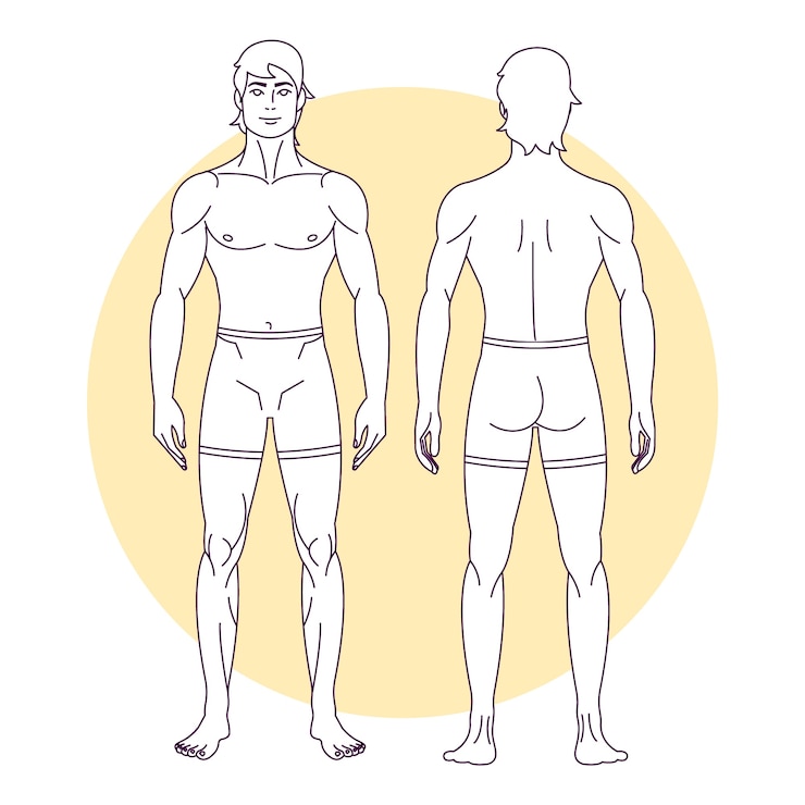 Vector gratuito ilustración de contorno de cuerpo humano dibujado a mano