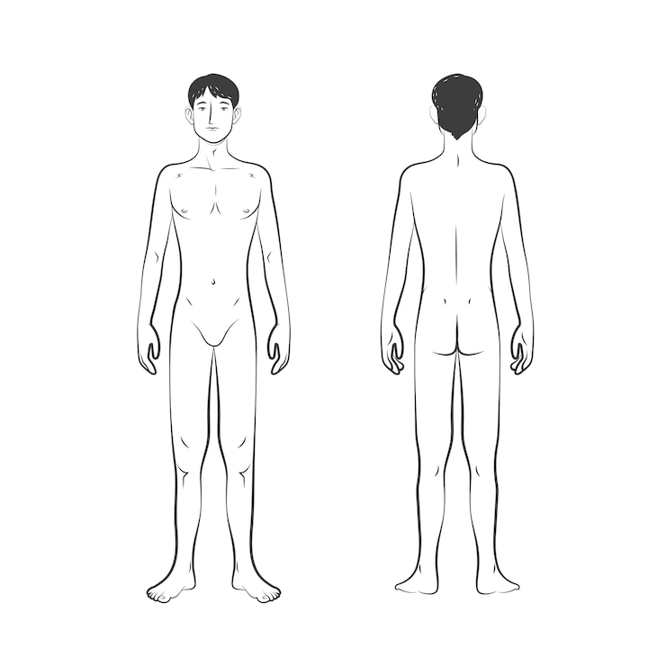 Vector gratuito ilustración de contorno de cuerpo humano dibujado a mano