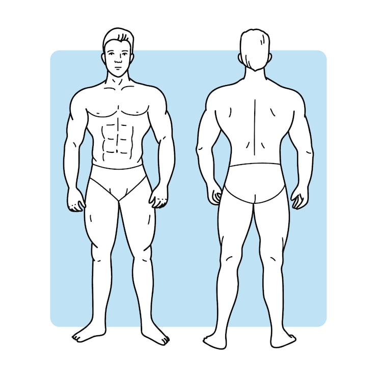 Vector gratuito ilustración de contorno de cuerpo humano dibujado a mano