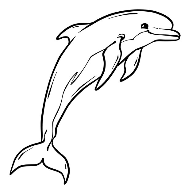 Ilustración de contorno de delfín dibujado a mano