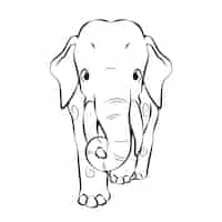 Vector gratuito ilustración de contorno de elefante dibujado a mano