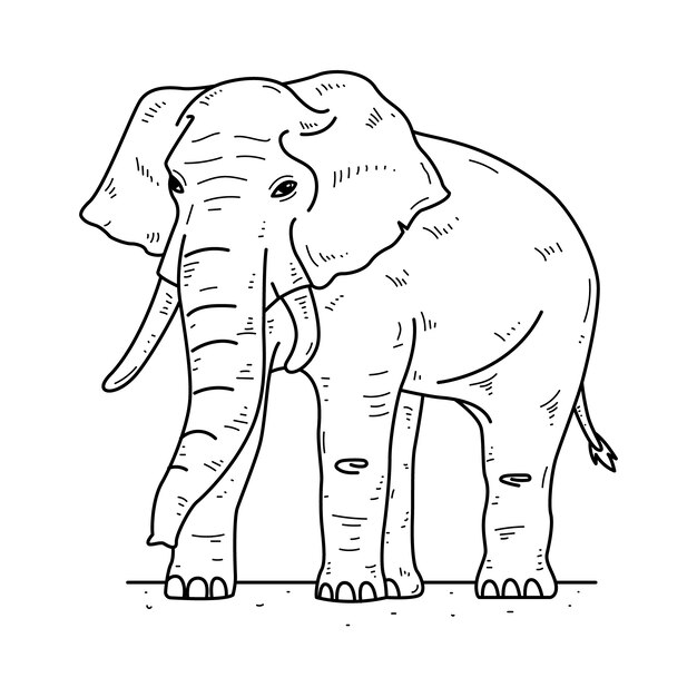 Ilustración del contorno de un elefante dibujado a mano