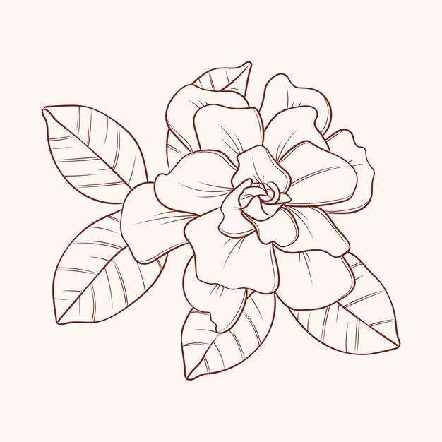 Ilustración de contorno de flor simple dibujada a mano