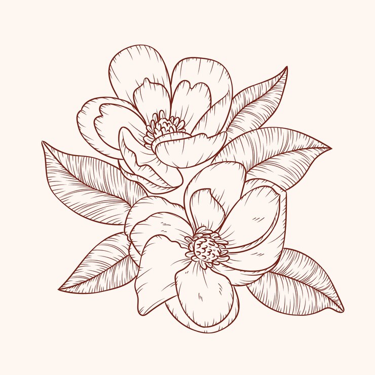 Vector gratuito ilustración del contorno de una flor simple dibujada a mano