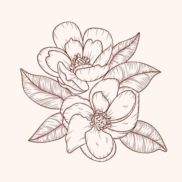 Ilustración de contorno de flor simple dibujada a mano