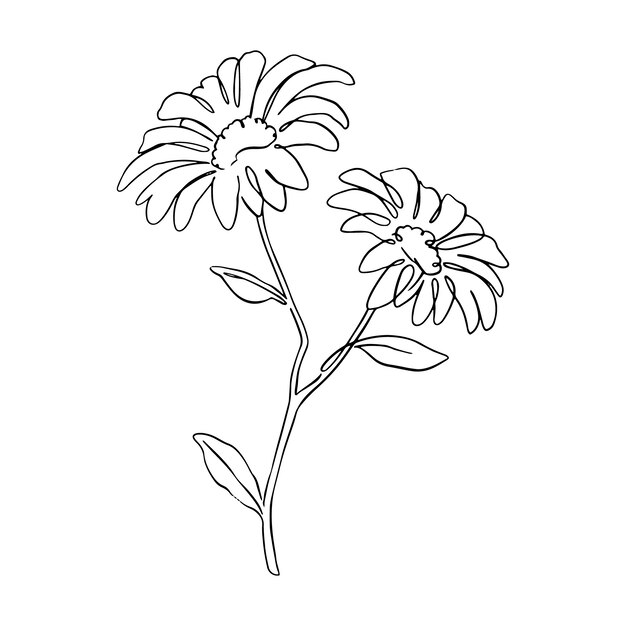 Ilustración del contorno de una flor simple dibujada a mano