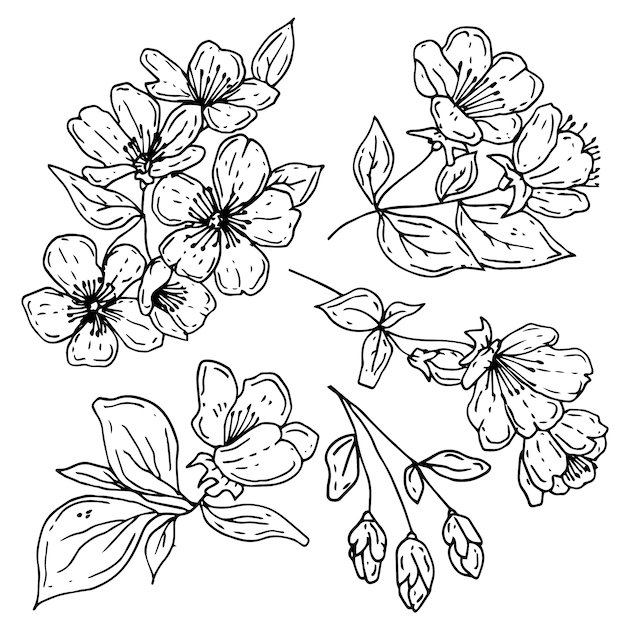 Ilustración del contorno de una flor simple dibujada a mano