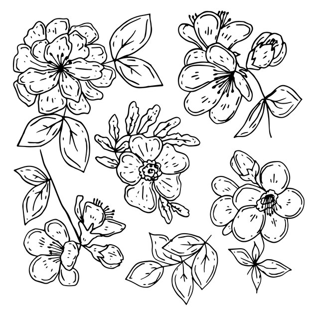 Ilustración del contorno de una flor simple dibujada a mano