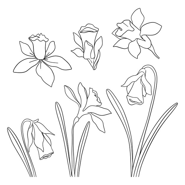 Ilustración del contorno de una flor simple dibujada a mano