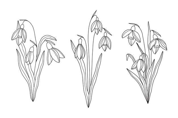 Ilustración de contorno de flor simple dibujada a mano