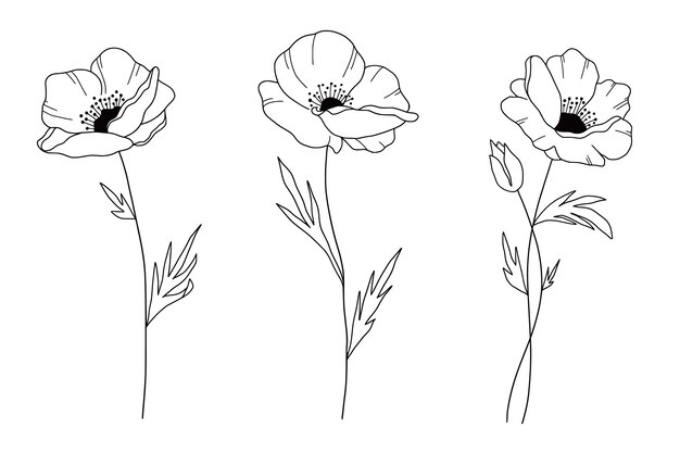 Ilustración del contorno de una flor simple dibujada a mano