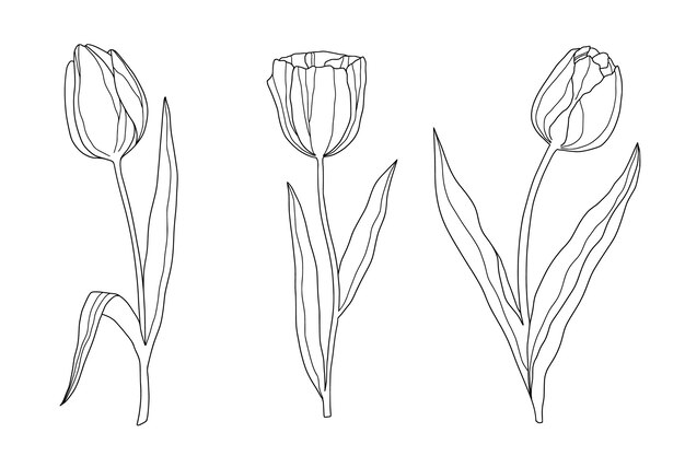 Ilustración del contorno de una flor simple dibujada a mano