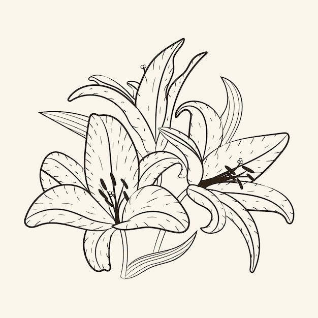 Ilustración de contorno de flor simple dibujada a mano