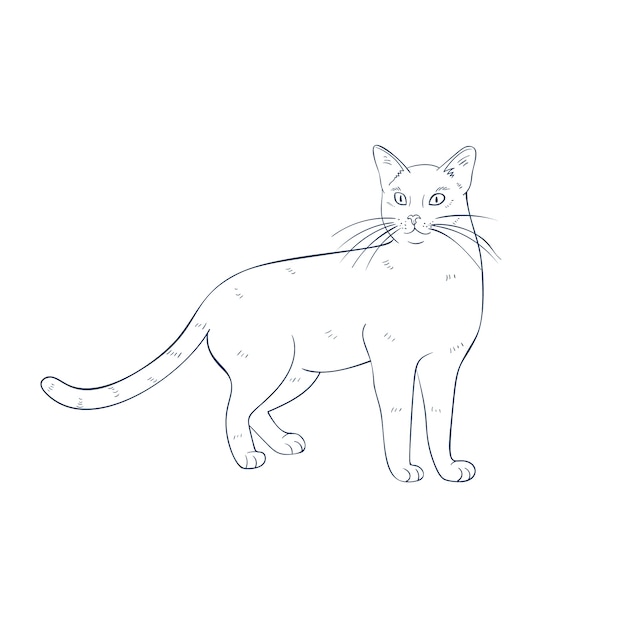 Vector gratuito ilustración de contorno de gato dibujado a mano