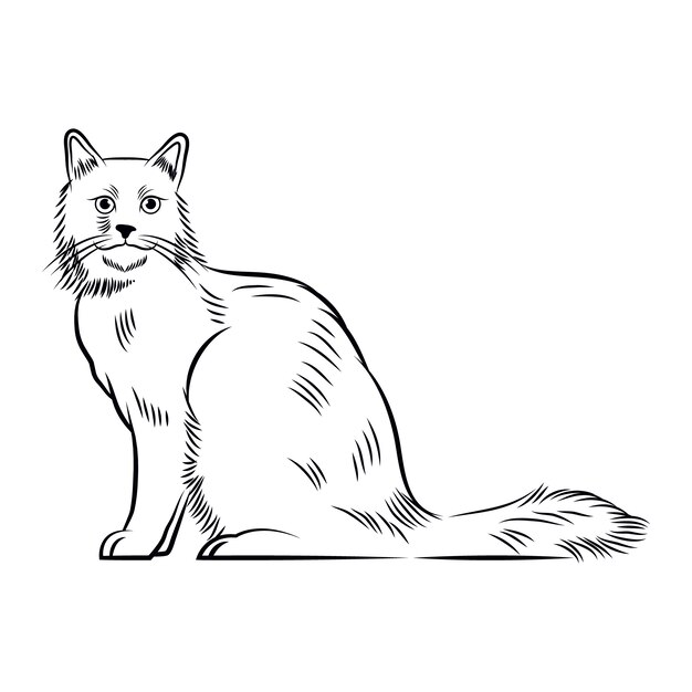 Ilustración de contorno de gato dibujado a mano