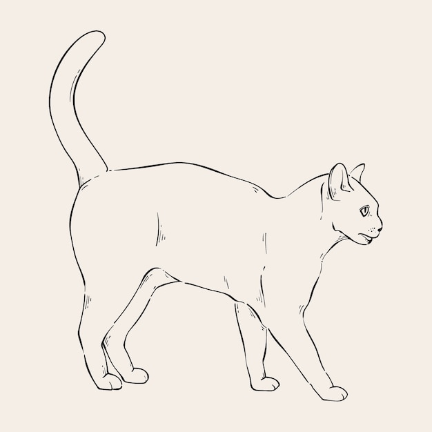 Vector gratuito ilustración de contorno de gato dibujado a mano