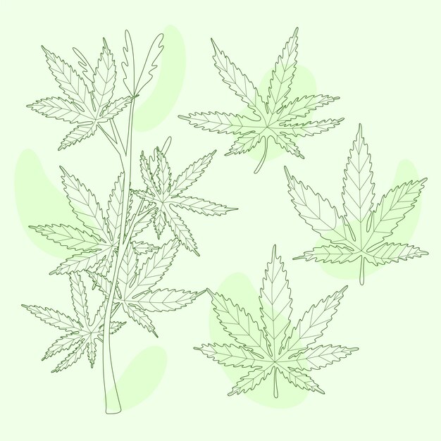 Ilustración del contorno de la hoja de marihuana dibujada a mano