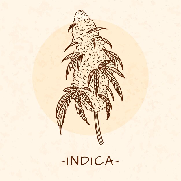 Ilustración de contorno de hoja de marihuana dibujada a mano