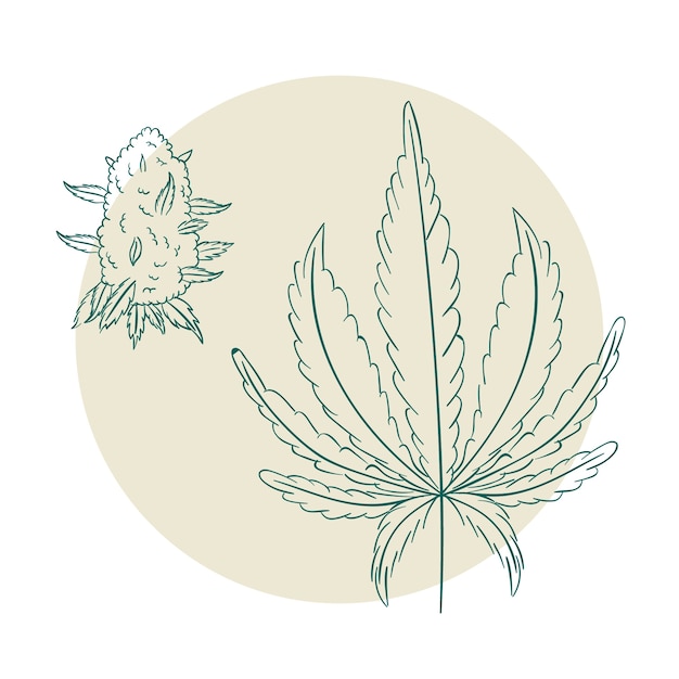 Vector gratuito ilustración de contorno de hoja de marihuana dibujada a mano