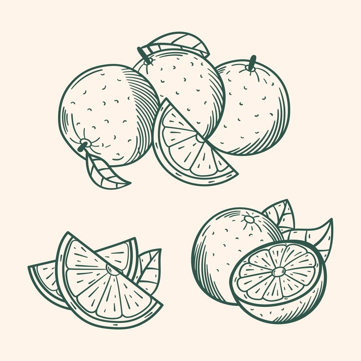 Vector gratuito ilustración de contorno naranja dibujado a mano