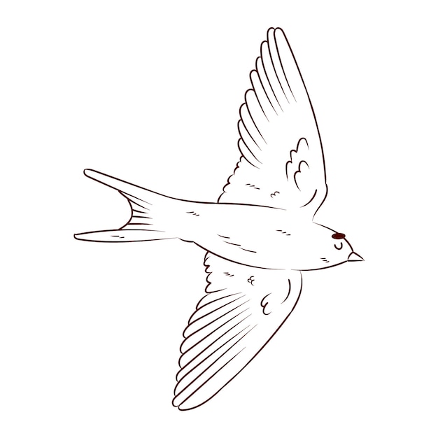 Ilustración del contorno de un pájaro dibujada a mano