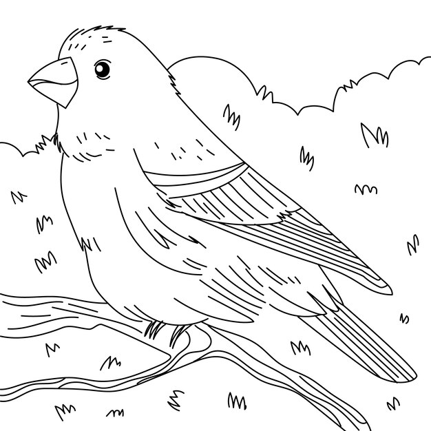 Ilustración del contorno de un pájaro dibujada a mano
