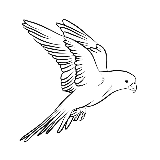 Ilustración de contorno de pájaro dibujado a mano