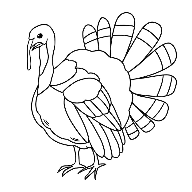 Vector gratuito ilustración de contorno de pavo dibujado a mano