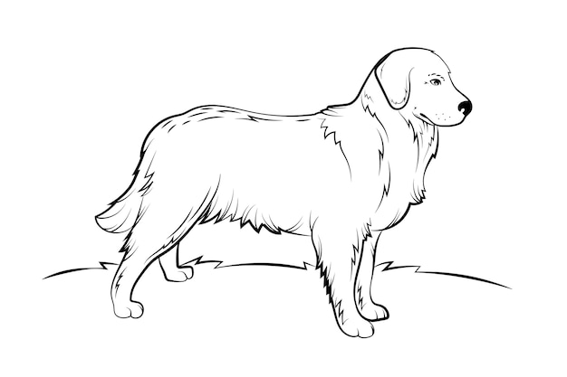 Ilustración de contorno de perro dibujado a mano
