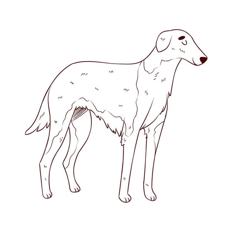 Vector gratuito ilustración de contorno de perro dibujado a mano